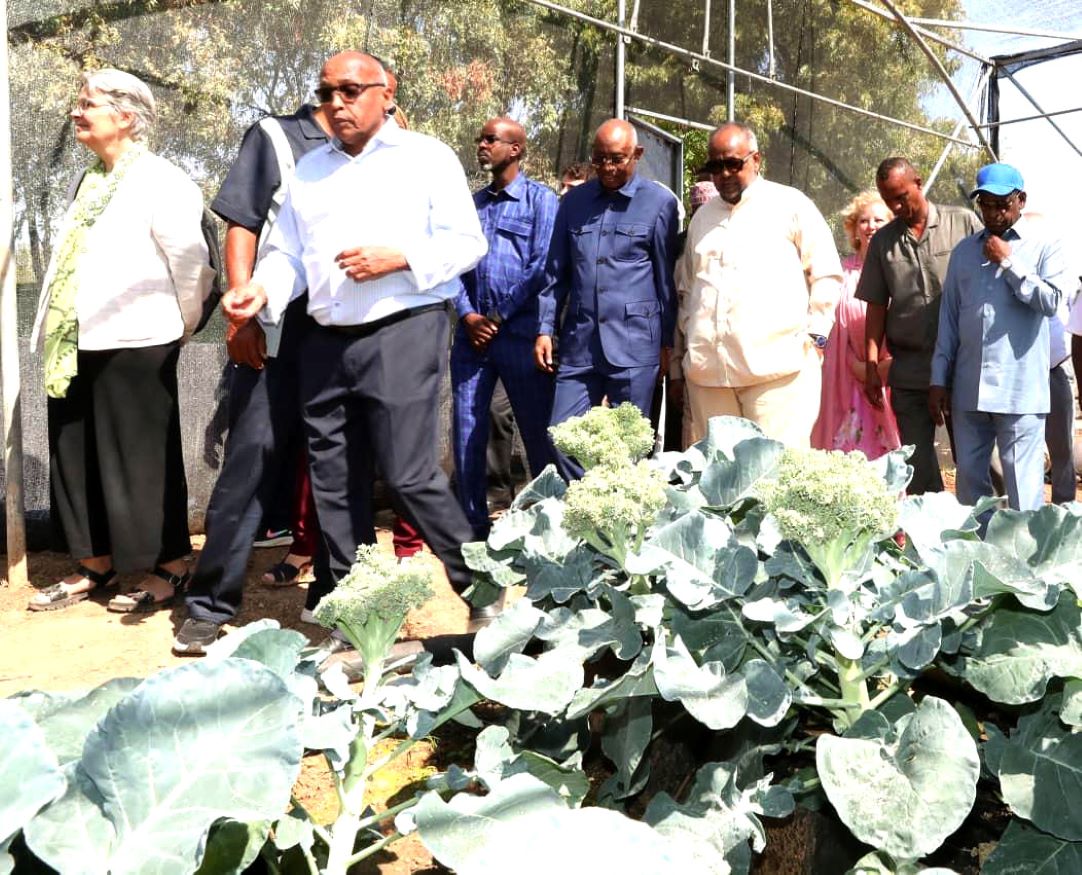 Inauguration de la ferme hydroponique à Day