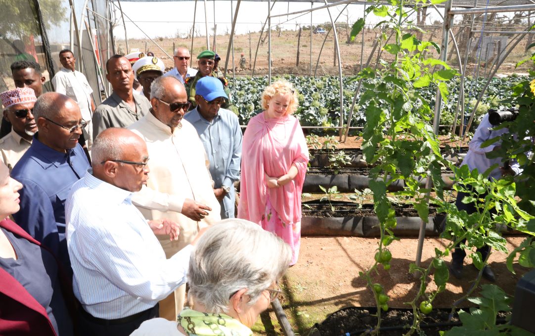 Le Président Guelleh procède à l’inauguration d’une ferme hydroponique au Day