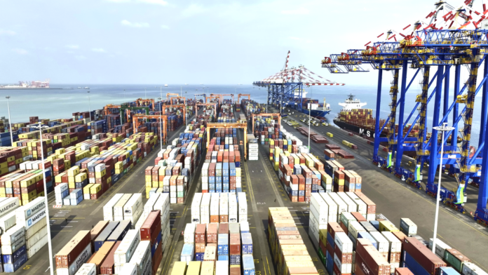 Les ports de Djibouti prêts à soutenir la chaîne d’approvisionnement mondiale (2)