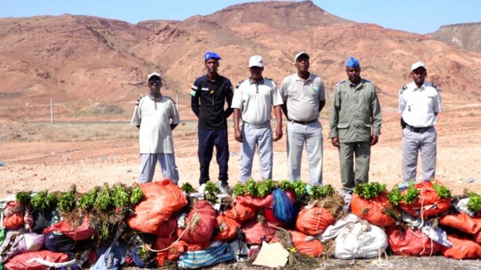 Région d’Ali-Sabieh La lutte contre la contrebande de khat et autres produits s’intensifie (1)
