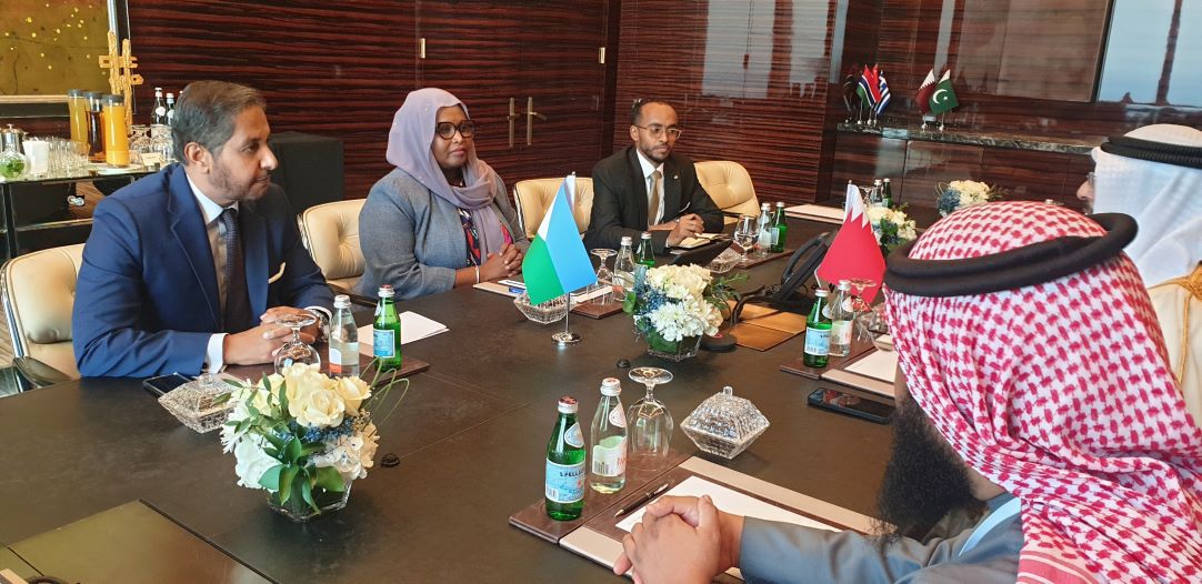 3ème Assemblée générale du Conseil de la DCO : La ministre Mariam Hamadou Ali y prend part