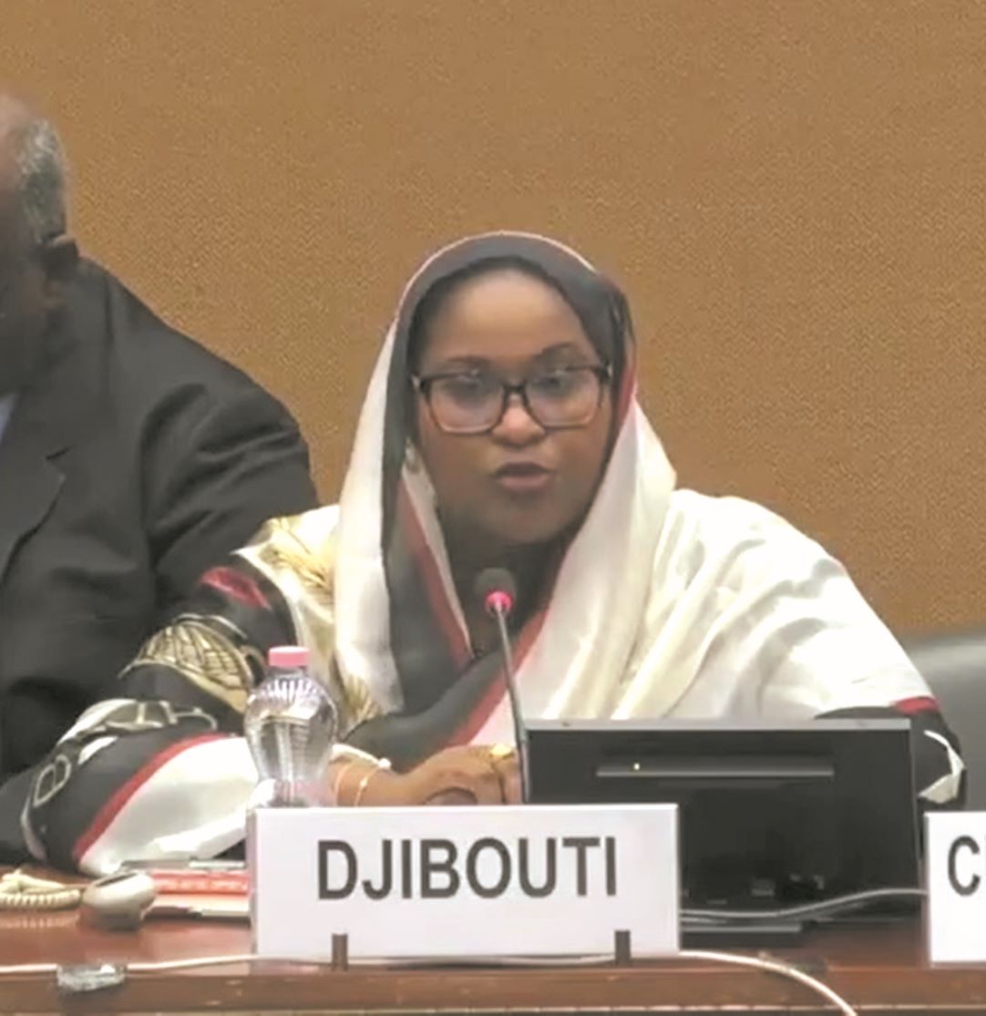 87ème Session du Comité des Droits de l’HommeDjibouti présente son rapport relatif à la mise en œuvre de la CEDEF