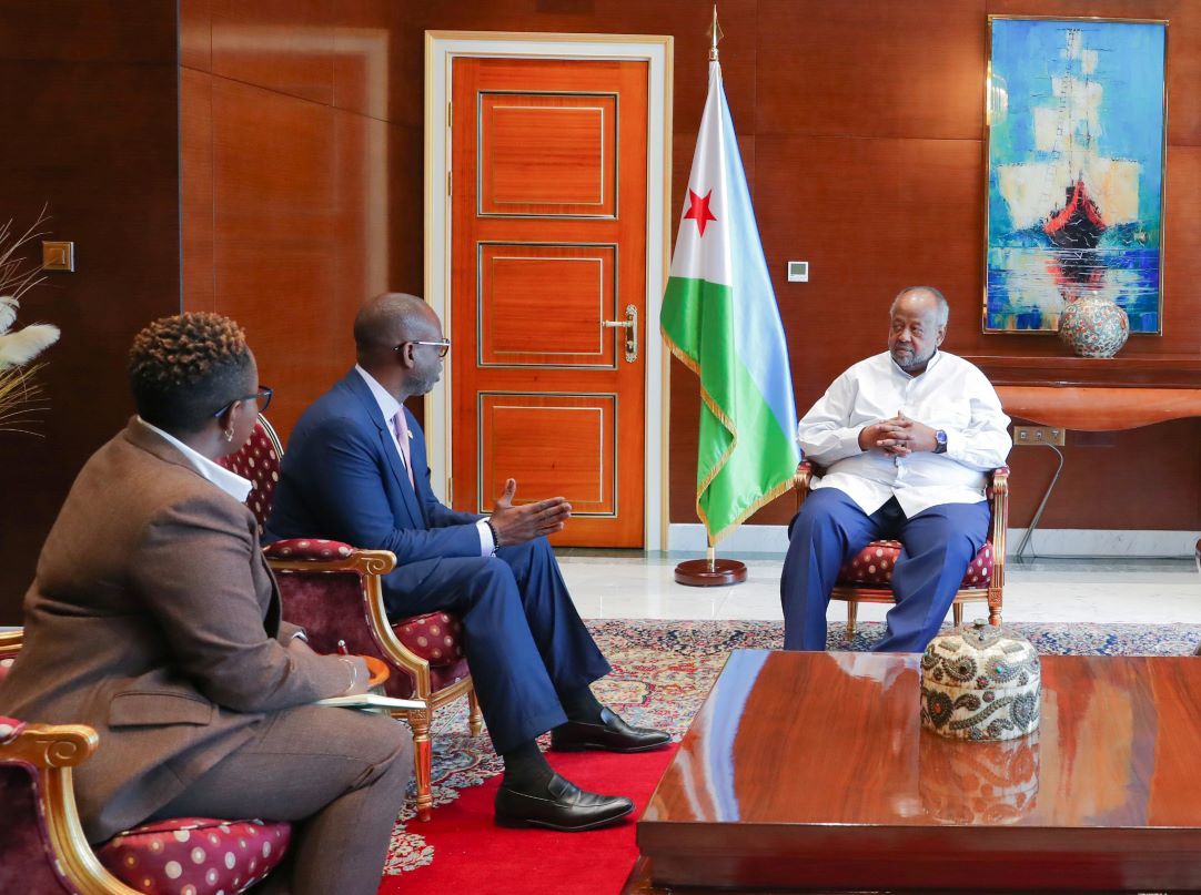 Le Chef de l’Etat reçoit le Directeur Général de la Smart Africa