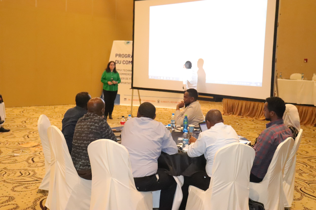 Atelier de formation et de sensibilisation sur le contrôle des importations alimentaires 