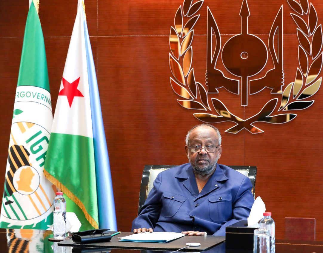Le Président Guelleh prend part à un sommet virtuel du Nouveau Partenariat pour le Développement en Afrique (NEPAD)