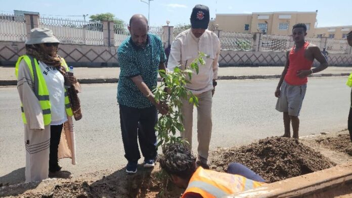 Le maire de la capitale supervise les travaux de plantation d’arbres (2)