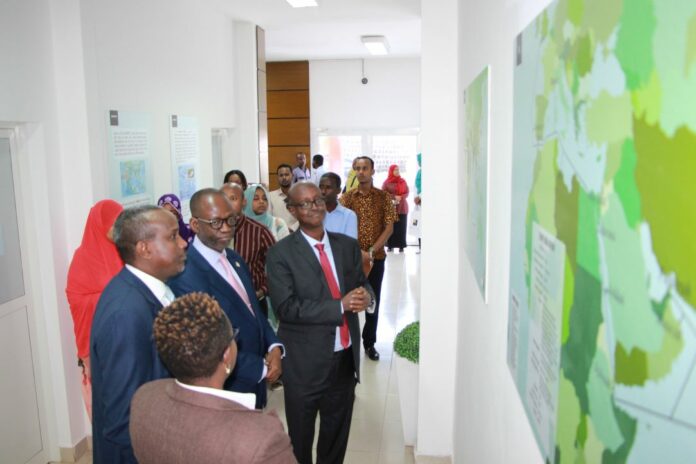 visite de ministre colléparation afrique nimerique