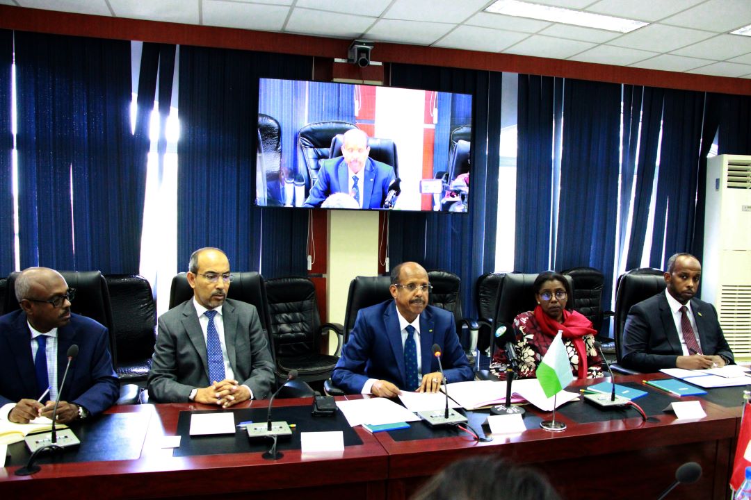 Entrevue entre le chef de la diplomatie djiboutienne et son homologue de la confédération suisse