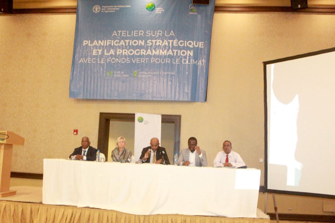 Atelier sur la planification stratégique et la programmation avec le fonds vert pour le climat