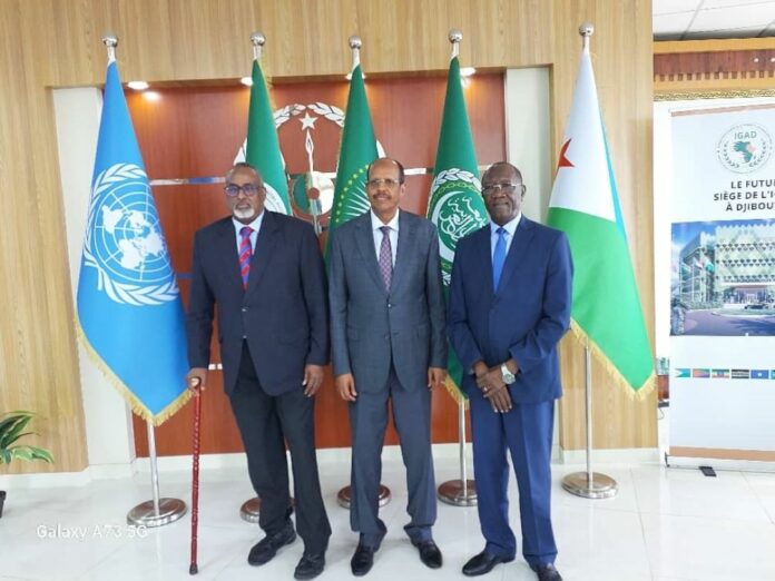 Le ministre Mahmoud Ali Youssouf reçoit l'envoyé spécial de l'IGAD pour le