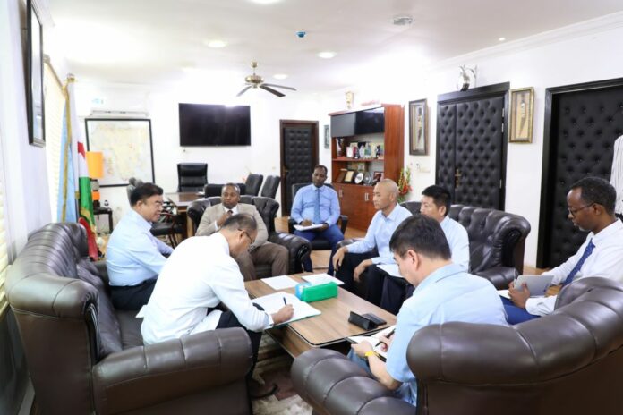 Le ministre Yonis Ali Guedi reçoit le président du groupe chinois Shandong Haiwang Chemical (2)