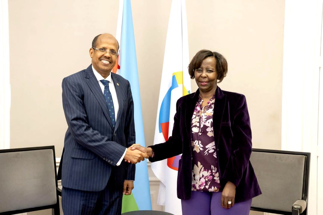 Rencontre fructueuse à Paris entre le ministre djiboutien des Affaires Étrangères et la secrétaire générale de l’OIF