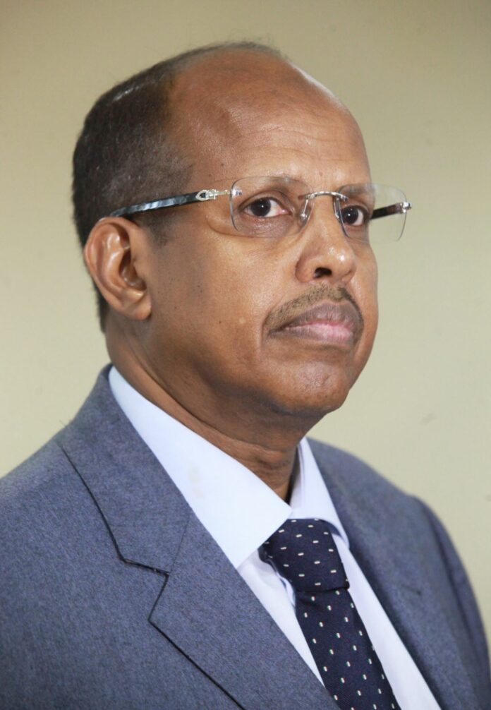 Mahmoud Ali Youssouf