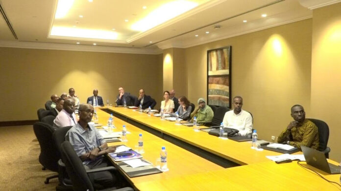 Programme « Moustique allié de Djibouti » (2)