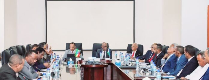 Réunions pour l’examen à mi-parcours de la 16ème Commission mixte ministérielle djibouto-éthiopienne (2)