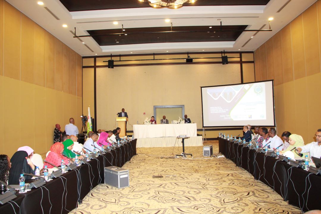 Atelier de formation sur l’élaboration d’un plan national pour les télécommunications d’urgence