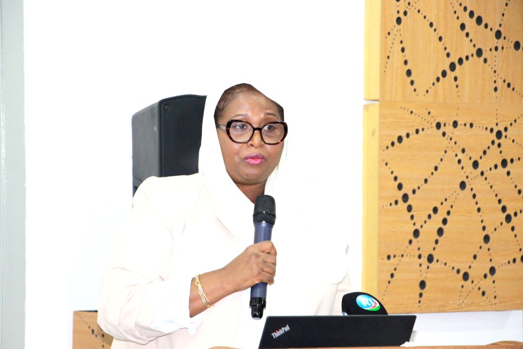 Dissemination du diagnostic de l’économie numérique