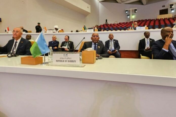 Djibouti participe au forum économique mondial de Riyad (1)