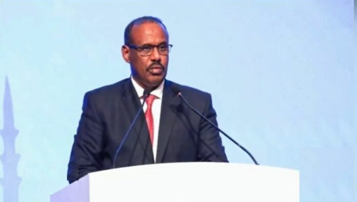 Djibouti réaffirme son soutien à la Palestine lors du sommet consultatif des