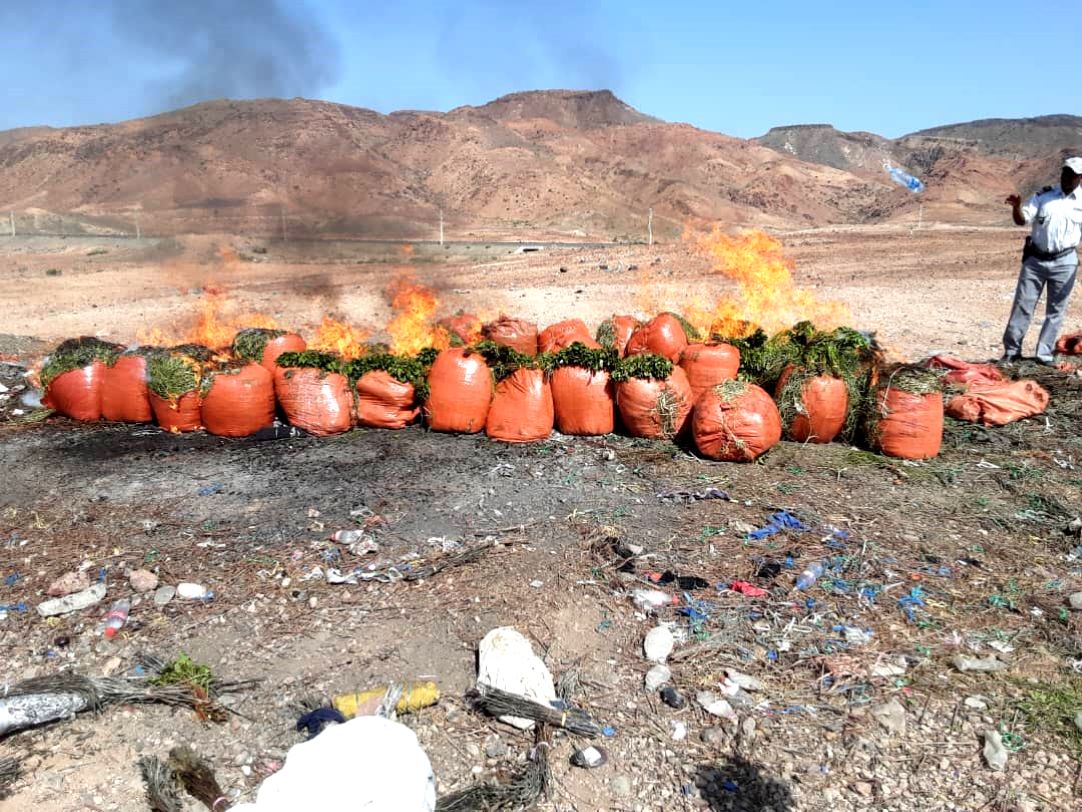 Lutte contre la contrebande : Saisie d’une quantité importante de khat au poste frontalier de Guélilé