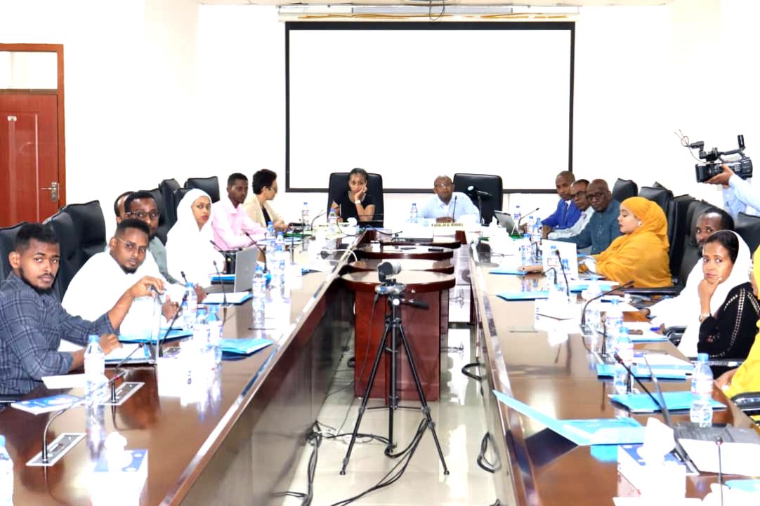 Ministère du travail/OIT : Pour la mise en place des données pour le système d’information sur le marché du travail djiboutienMinistère du travail/OIT :