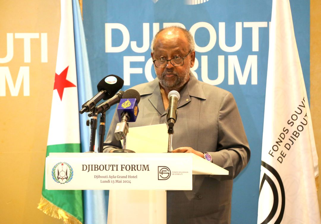 « Nous sommes en mesure de façonner un avenir prometteur pour Djibouti »