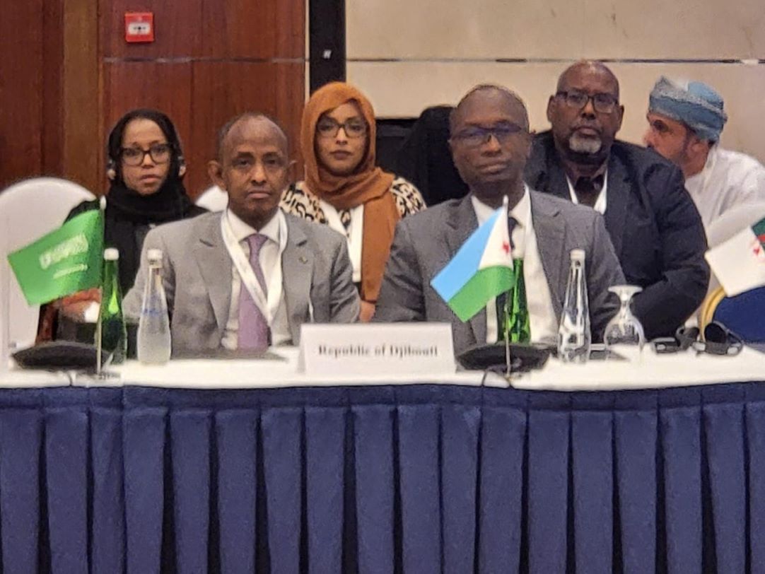 Une forte délégation conduite par le ministre de l'Intérieur participe à Bahreïn à la 38e session du GAFI