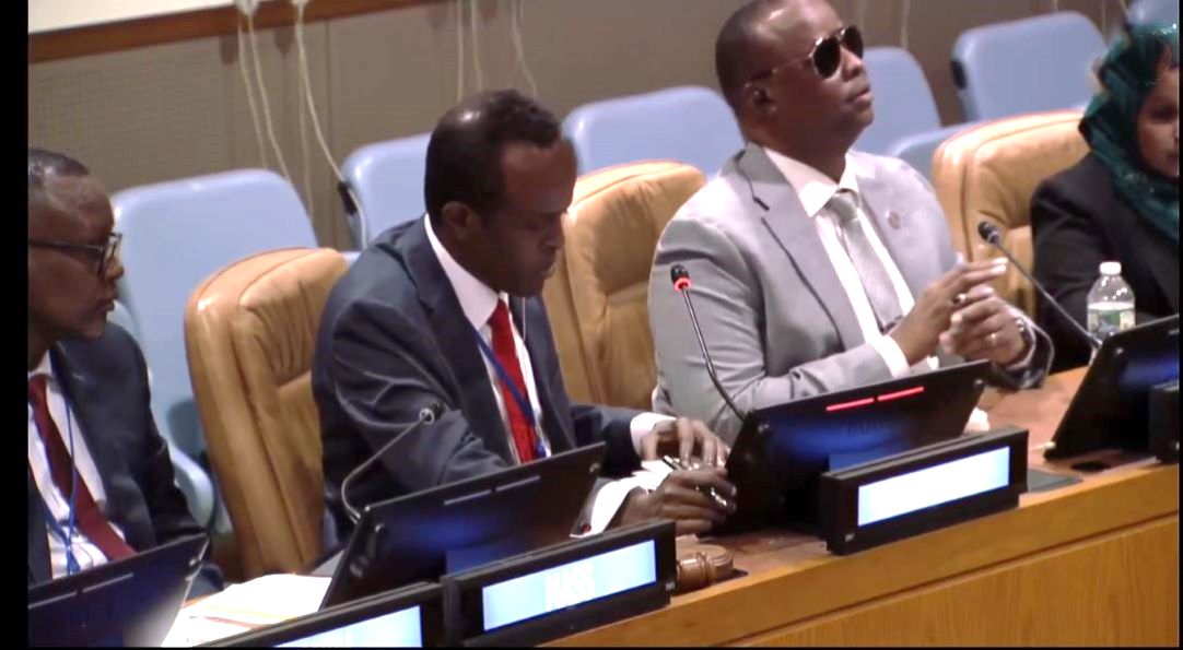 Droits des personnes handicapées : Djibouti participe à la conférence internationale à New York