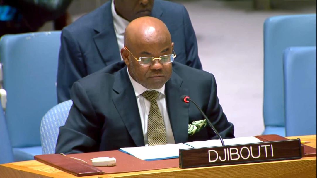 Djibouti élu membre du Conseil économique et social des Nations Unies (ECOSOC)