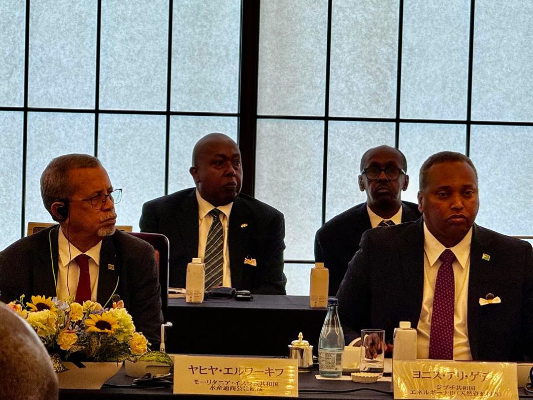 5e Forum Economique Japon/Ligue Arabe  : Djibouti représenté par son ministre de l’Energie chargé des Ressources Naturelles