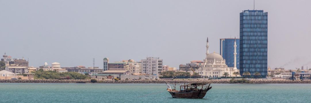 Djibouti maximise les avantages de la ZLECAf pour le secteur privé