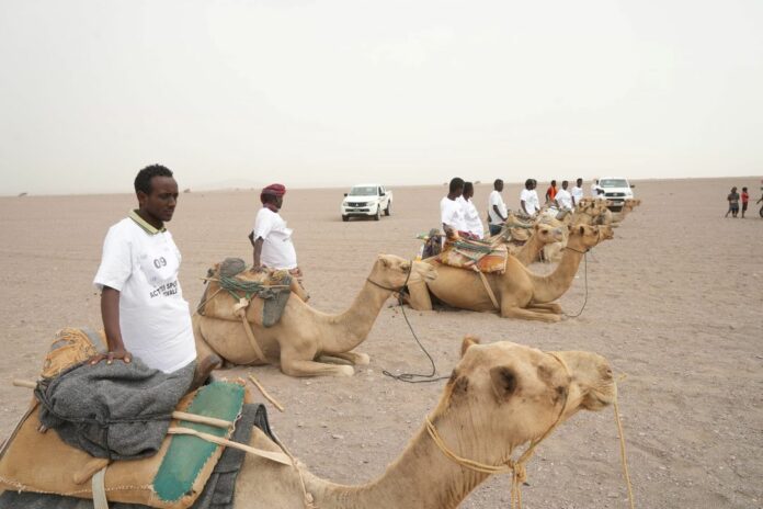 La course de dromadaires à Khor Angar, une expérience fascinante (2)