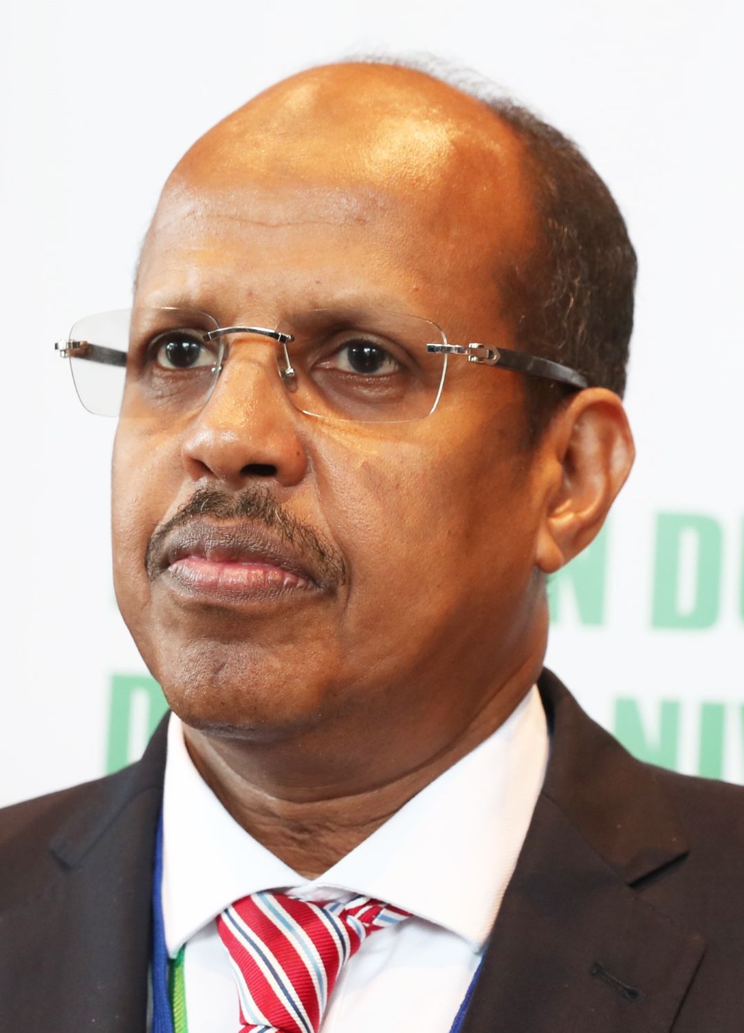 REVUE DE PRESSE : DJIBOUTI à LA CONQUêTE DE L’ORGANISATION PANAFRICAINE