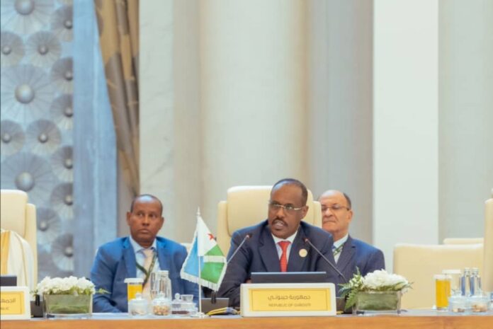 9ème Conférence internationale des ministres des affaires musulmanes et (3)
