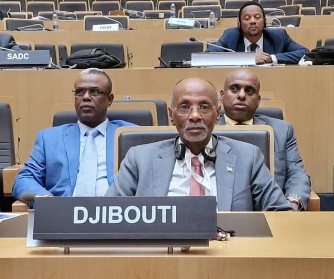 Addis-Abeba : le ministre Omar Abdi Saïd prend part à la réunion du CTS sur le développement social, le travail et l'emploi