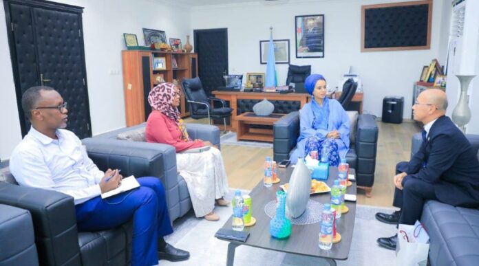 Entrevue entre la ministre Ouloufa Ismail Abdo et l'ambassadeur Hara Keiichi (3)