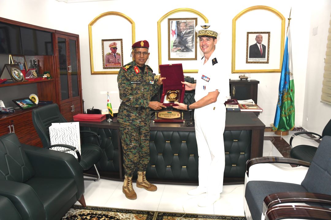 Le CEMGA reçoit le nouveau commandant des FFDJ