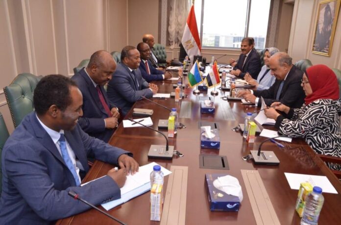 Rencontre entre le ministre Yonis Ali Guedi et son homologue égyptien (3)