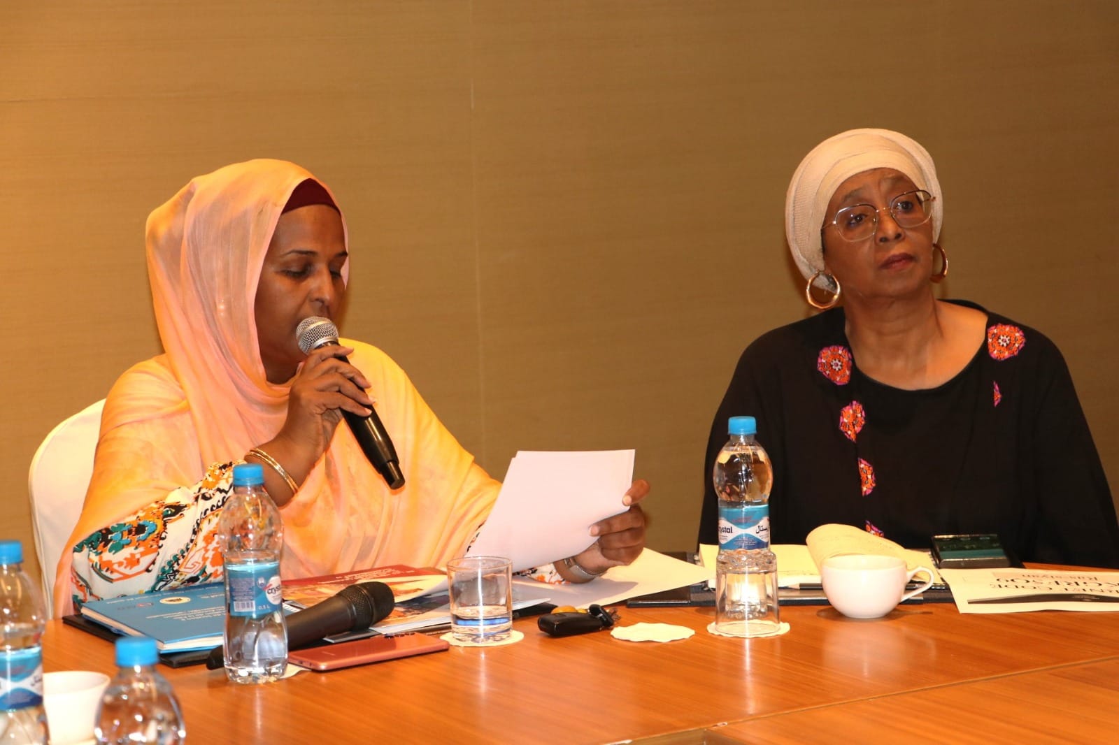 Réunion consacrée au compte rendu préliminaire de l’évaluation finale du FEMFI