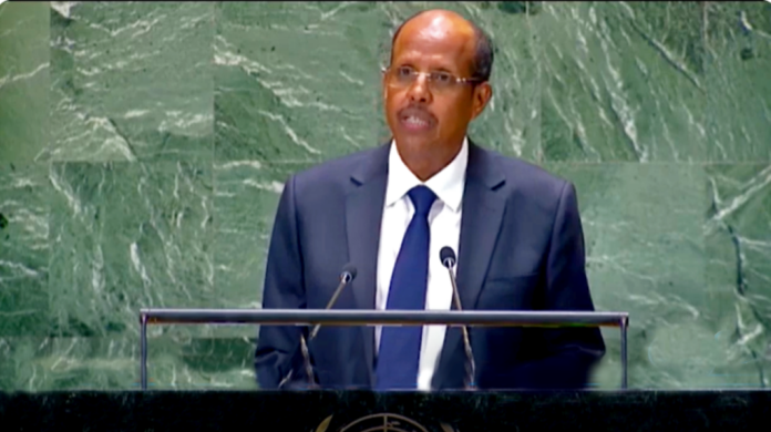 Djibouti salue l'adoption du Pacte pour l'Avenir et appelle à une réforme (1)