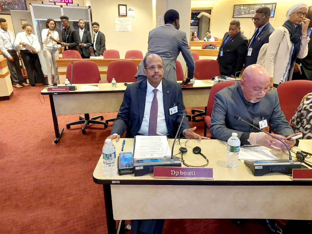 Mahmoud Ali Youssouf Plaide pour une Approche Proactive et une Meilleure Coordination Conseil de Paix et de Sécurité de l'Union Africaine