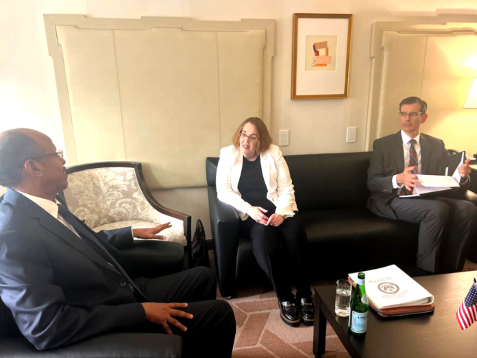 Rencontre entre le ministre Mahmoud Ali Youssouf et Molly Phee, Assistant