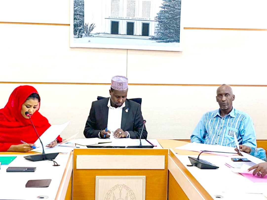 Assemblée Nationale : Réunion de la  commission des affaires étrangères