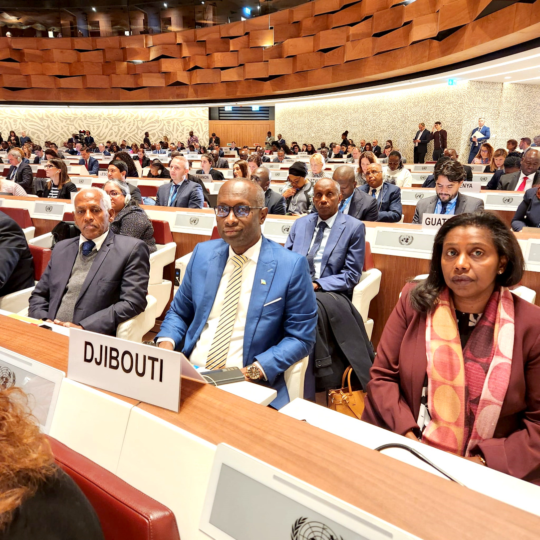 75ème Session du Comité exécutif du Haut-Commissariat des Nations unies aux réfugiés à Genève : Le ministre de l’Intérieur s’insurge contre les violations flagrantes du droit international humanitaire