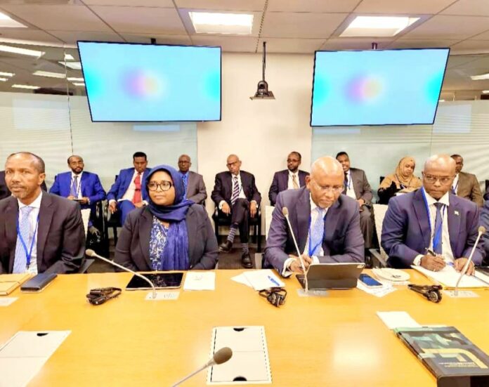 une delegation djiboutiens en washintong