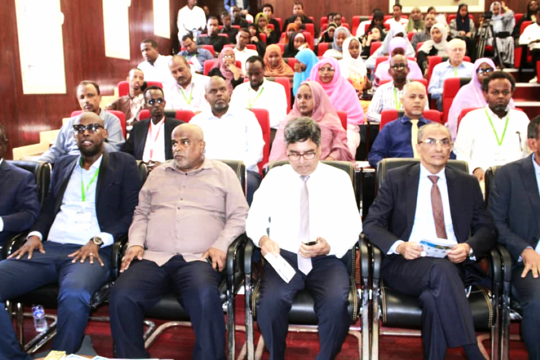 Atelier sur la modélisation mathématique et innovation dans la science des données avancées