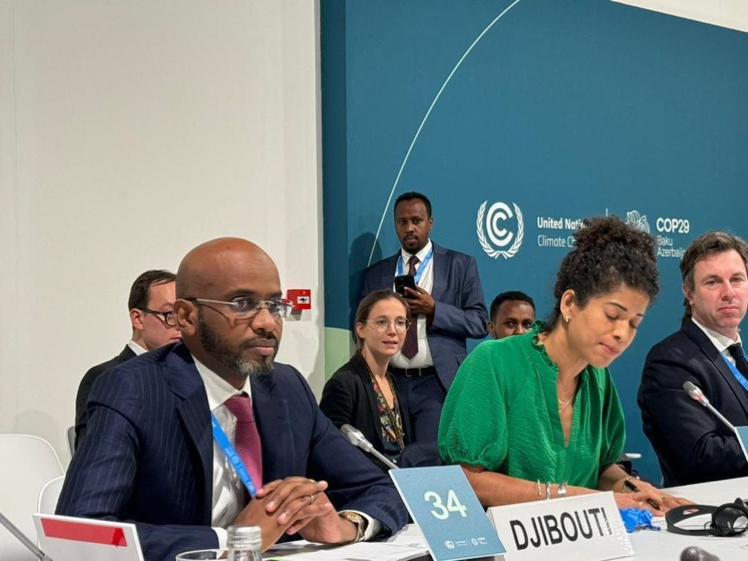 Le Ministre de l’Environnement participe à la COP 29 à Bakou