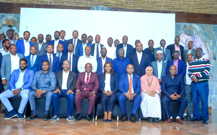 DELEGATION ADDIS ABBA