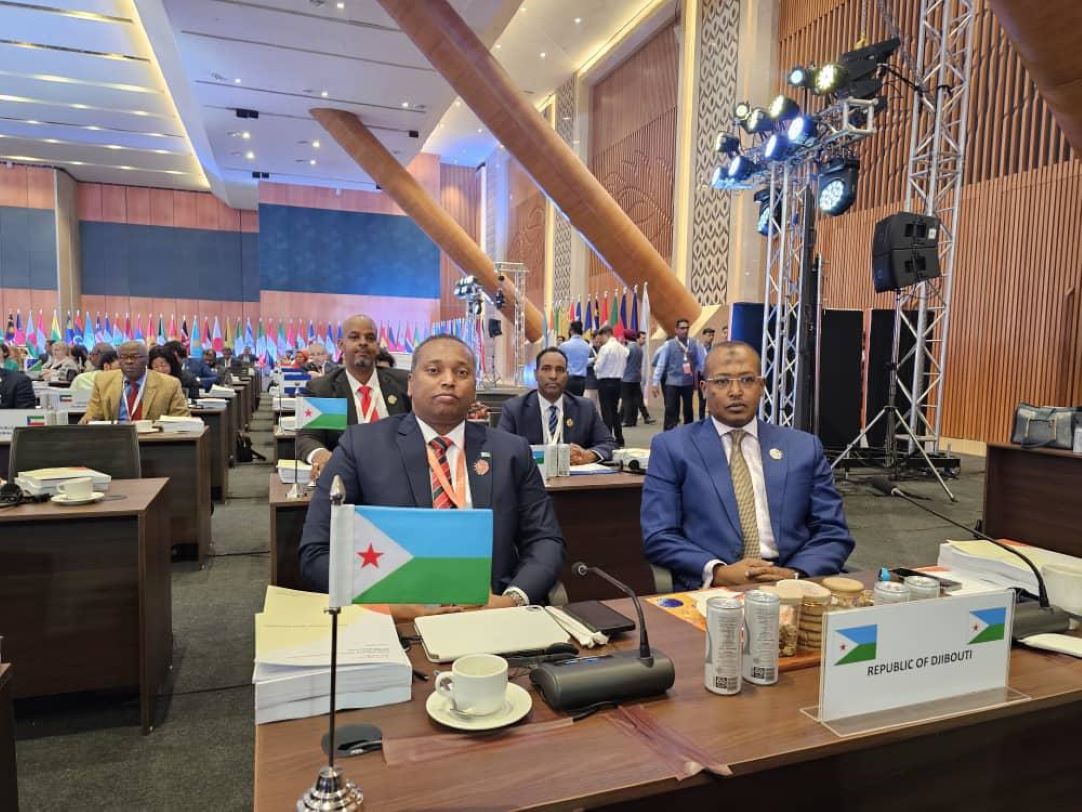 7ème Session de l'Assemblée de l'Alliance Solaire Internationale à New Delhi, en Inde : Djibouti représenté par son Ministre de l’Energie, chargé des Ressources Naturelles