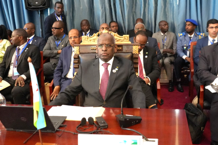 Le Premier ministre M. Abdoulkader Kamil Mohamed a pris part au 23ème (2)